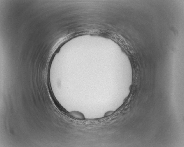 X0000115760003200912041420