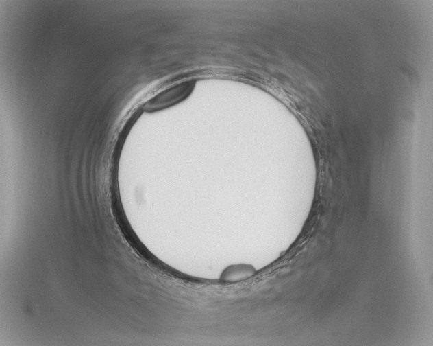 X0000115760007200912041420