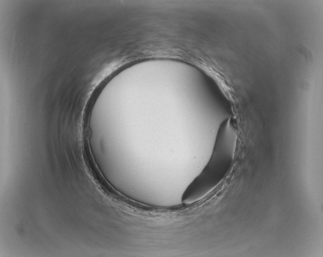 X0000115760008200912041420