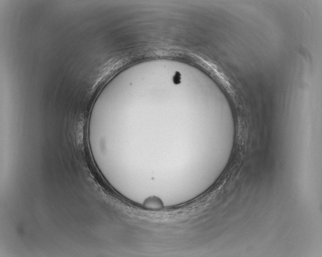 X0000115760010200912041420