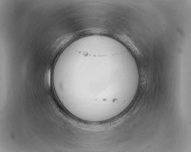 X0000115760014200912041420