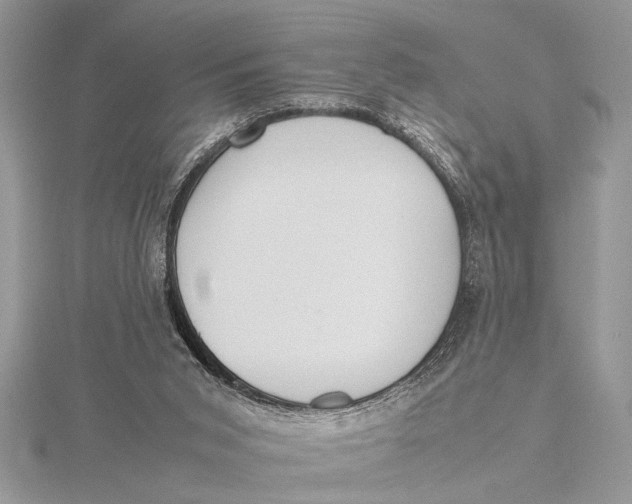 X0000115760015200912041420