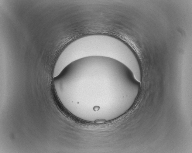 X0000115760017200912041420