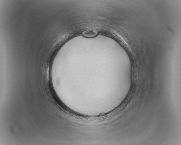 X0000115760019200912041420