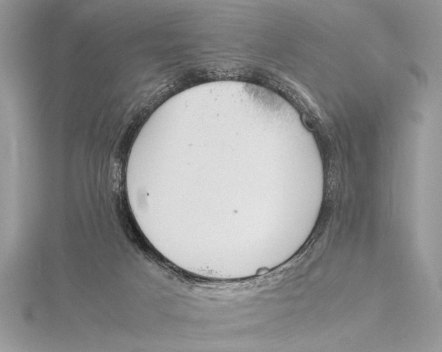 X0000115760025200912041420