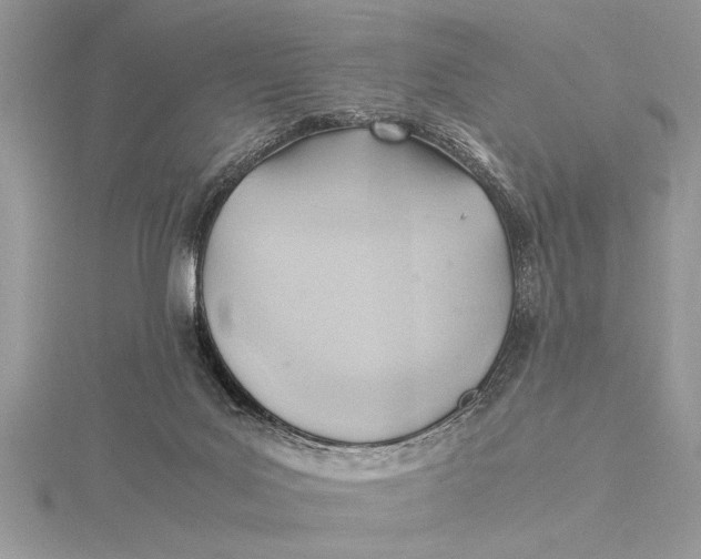 X0000115760027200912041420