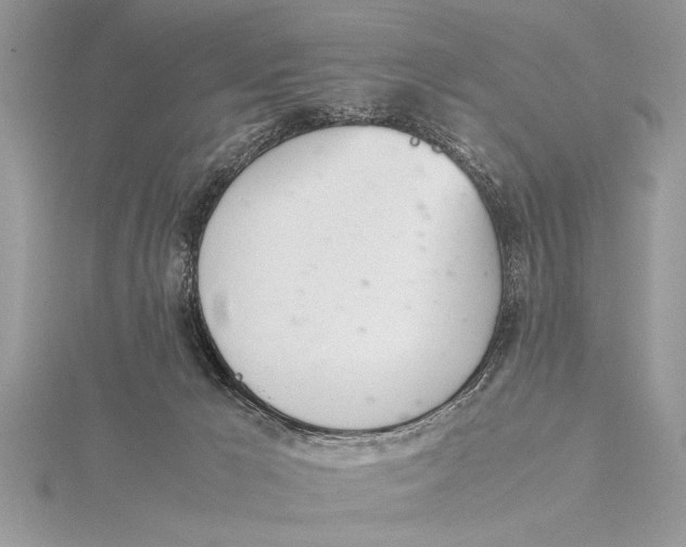 X0000115760029200912041420