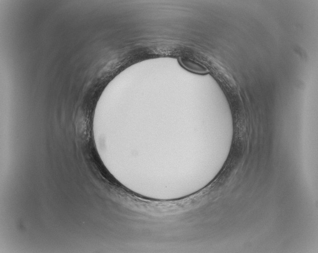 X0000115760031200912041420