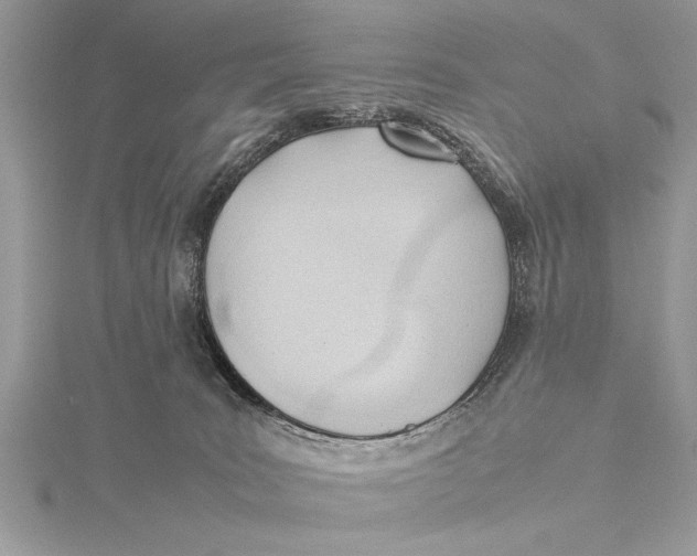 X0000115760035200912041420