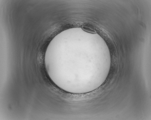 X0000115760037200912041420