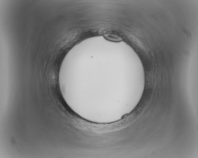 X0000115760039200912041419