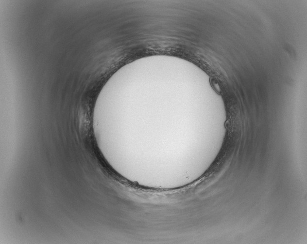 X0000115760040200912041419