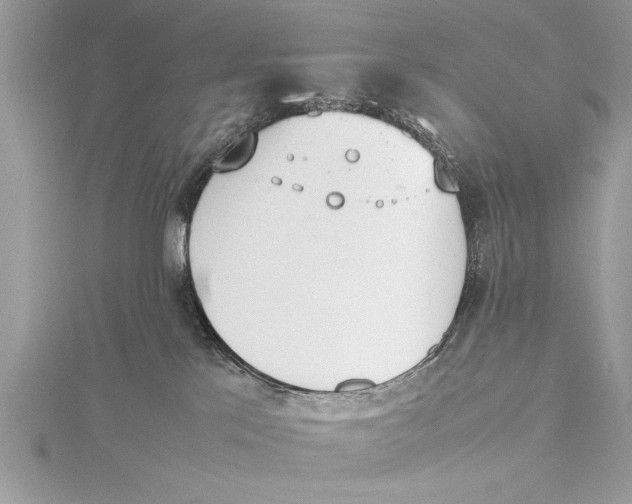 X0000115760041200912041419