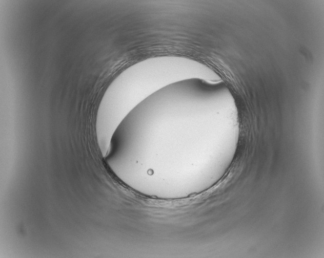 X0000115760045200912041419