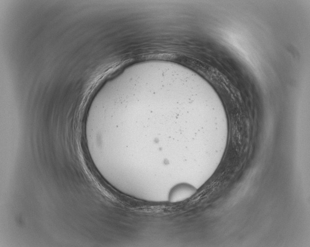 X0000115760049200912041419