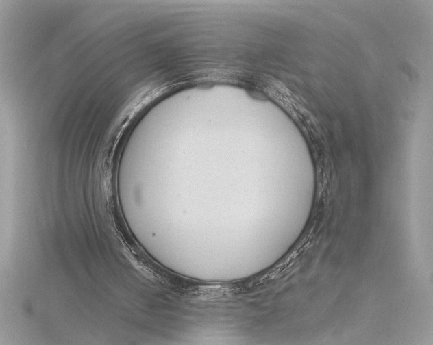 X0000115760050200912041419