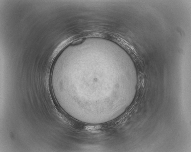 X0000115760051200912041419