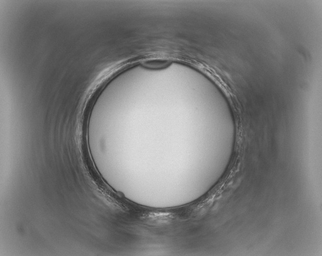 X0000115760055200912041419