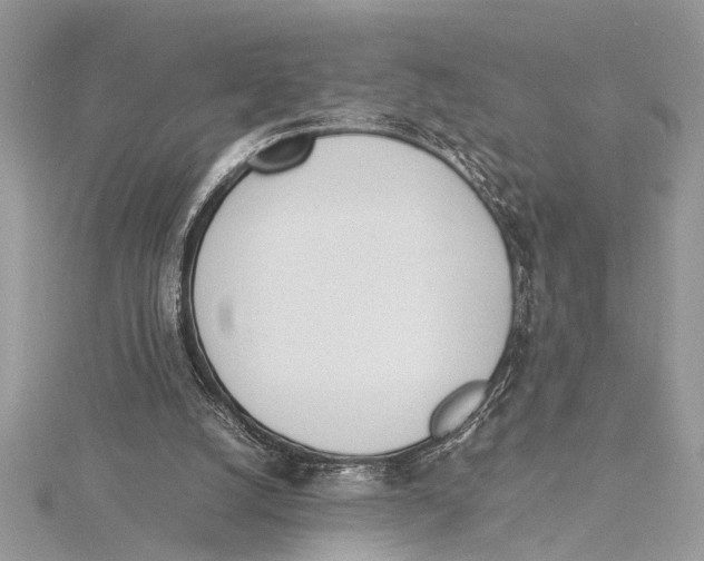 X0000115760056200912041419