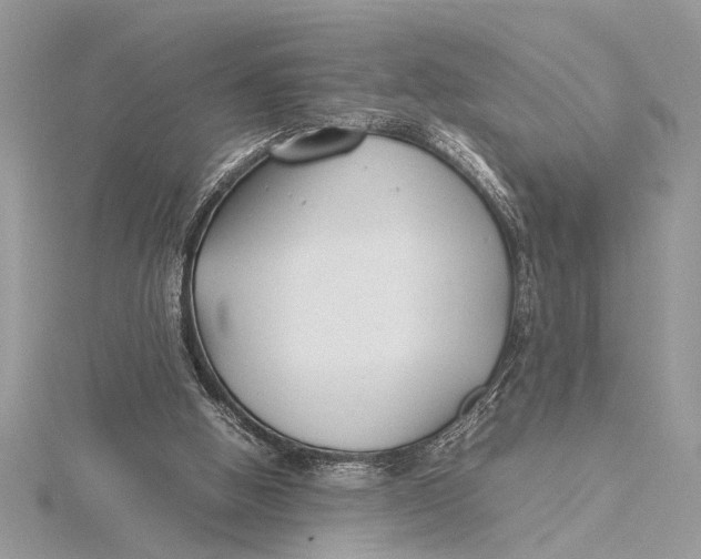 X0000115760058200912041419