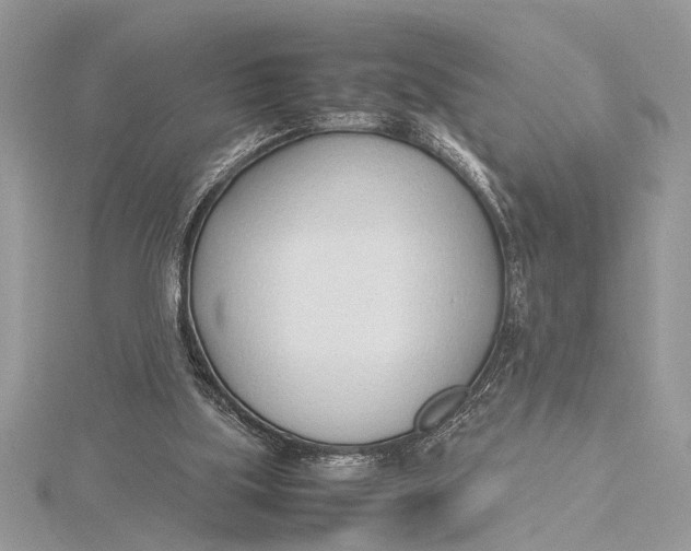 X0000115760059200912041419