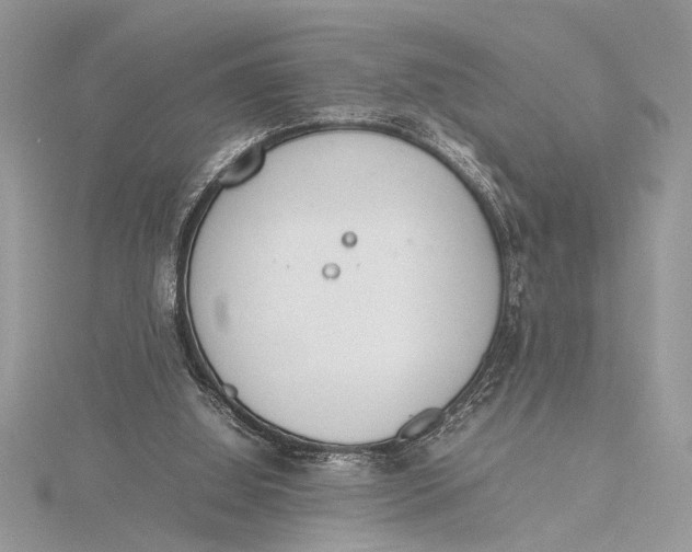 X0000115760060200912041419