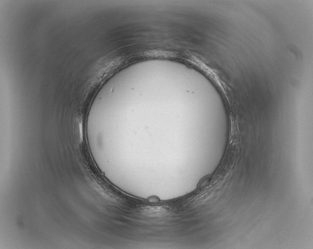 X0000115760061200912041419