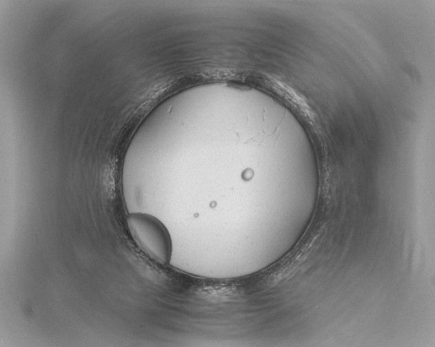 X0000115760065200912041419