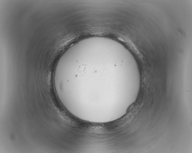 X0000115760066200912041419