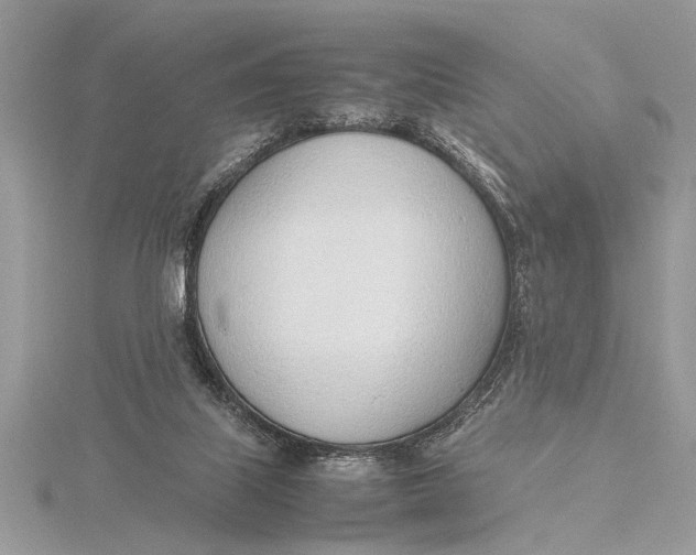 X0000115760067200912041419