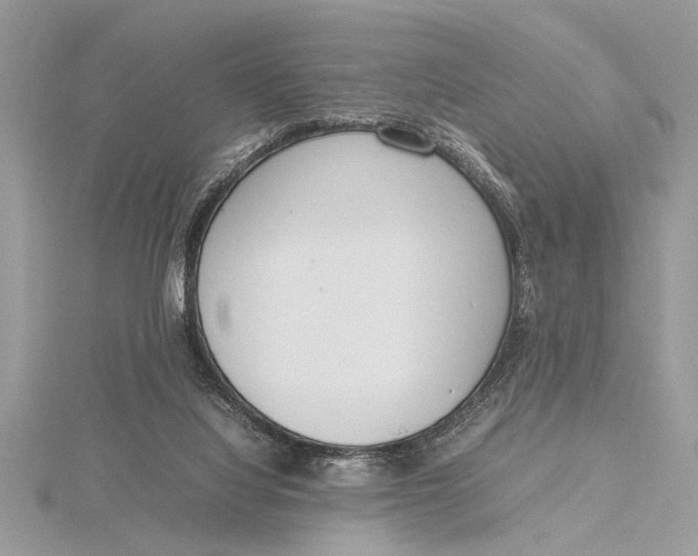 X0000115760068200912041419