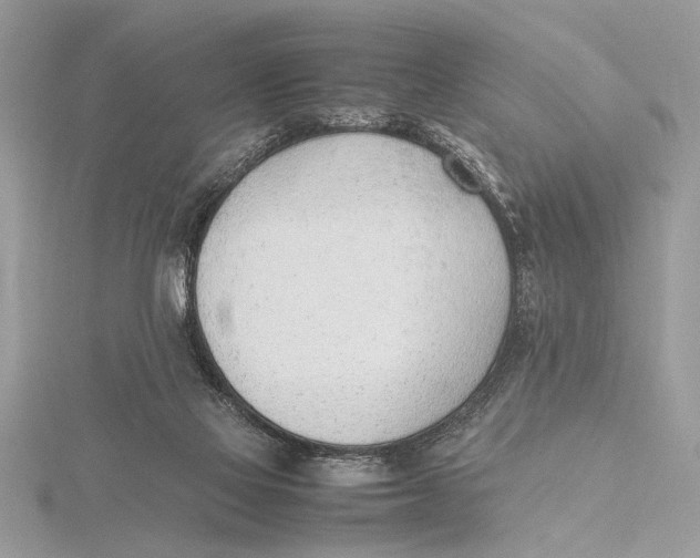 X0000115760069200912041419