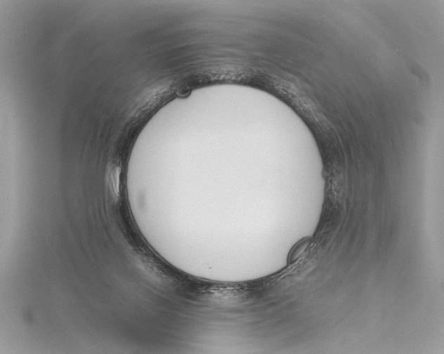 X0000115760070200912041419