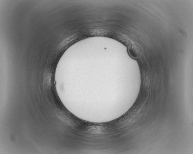 X0000115760071200912041419