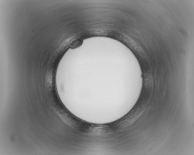 X0000115760072200912041419