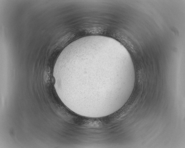 X0000115760073200912041419