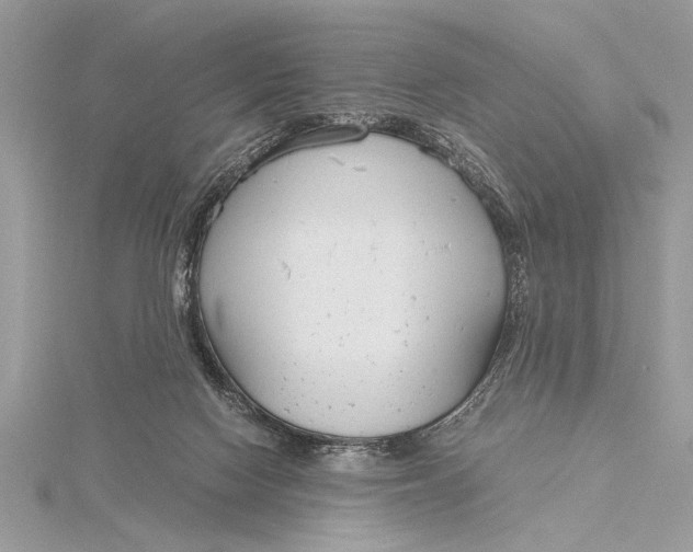 X0000115760074200912041419