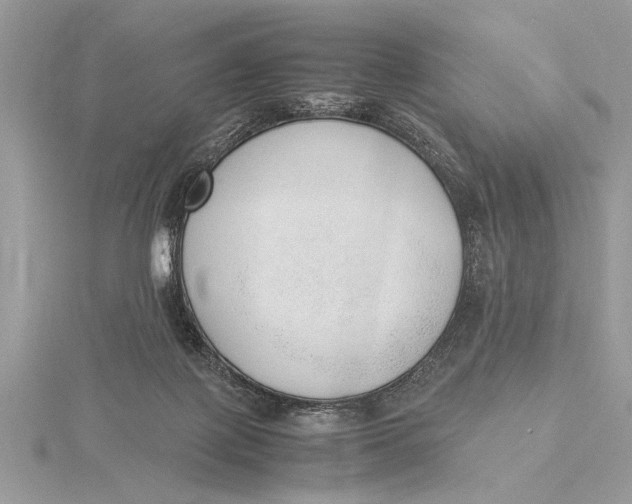 X0000115760075200912041419