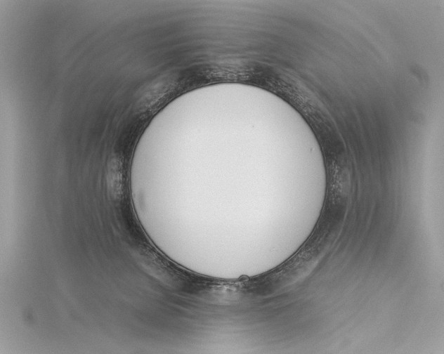 X0000115760080200912041419