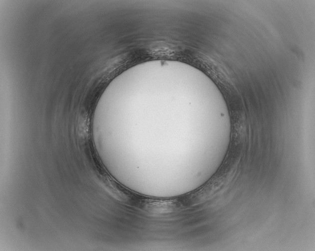 X0000115760081200912041419