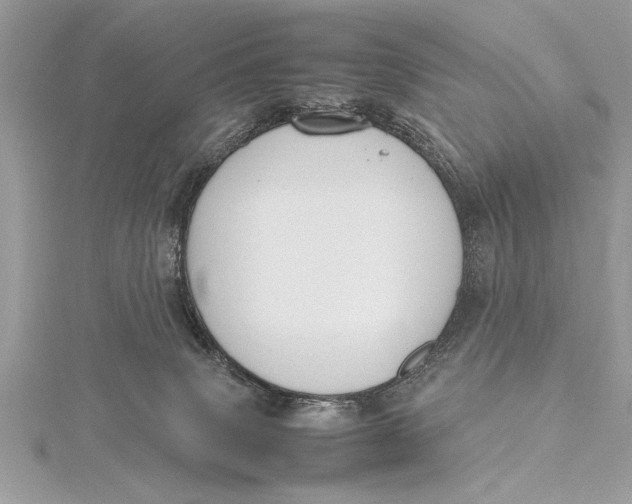 X0000115760083200912041419