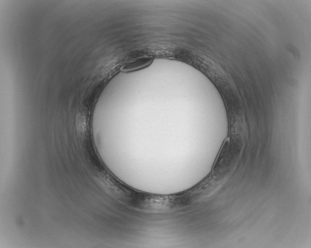 X0000115760084200912041419