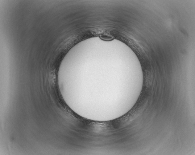 X0000115760085200912041419