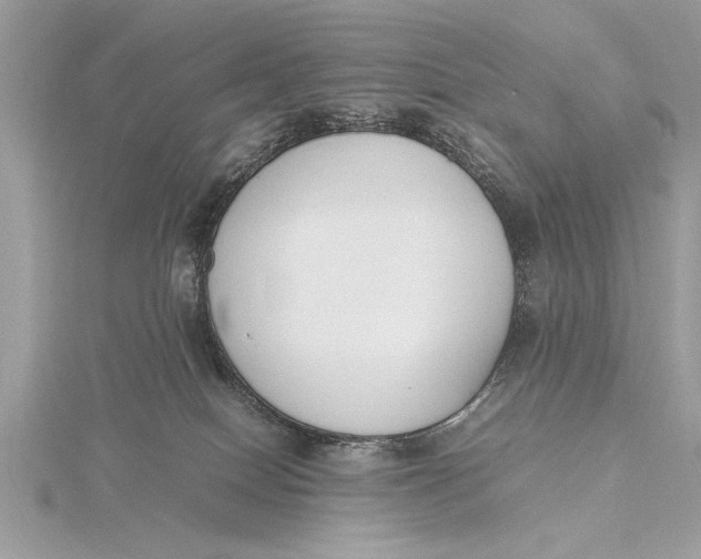 X0000115760086200912041419