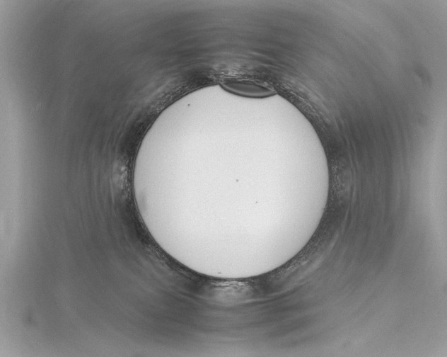 X0000115760087200912041419