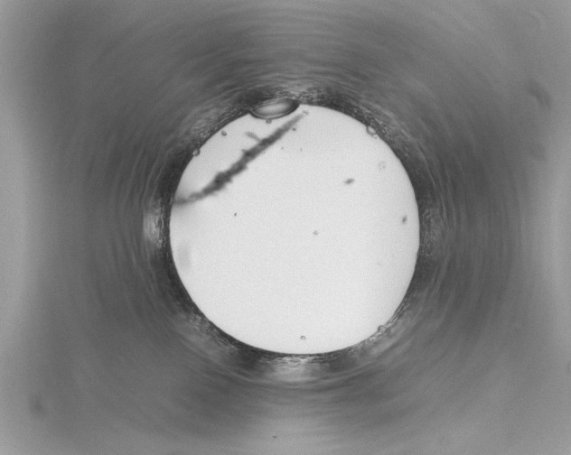 X0000115760090200912041419