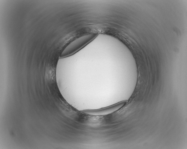 X0000115760096200912041419