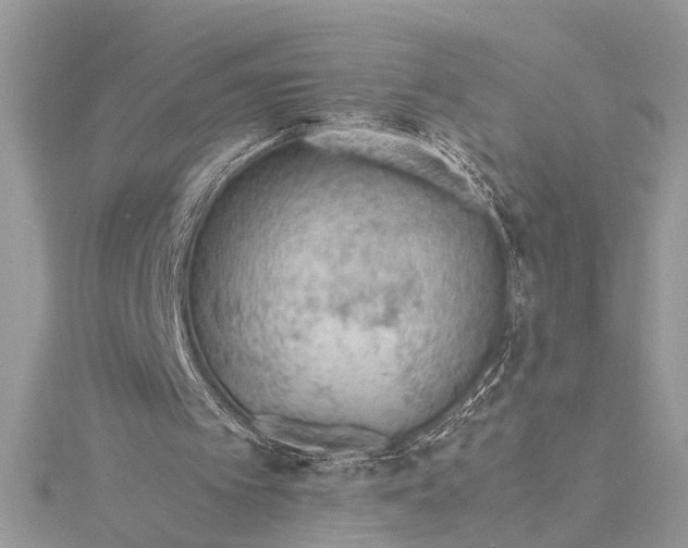 X0000115760097200912041419