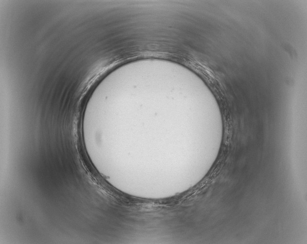 X0000115760098200912041419