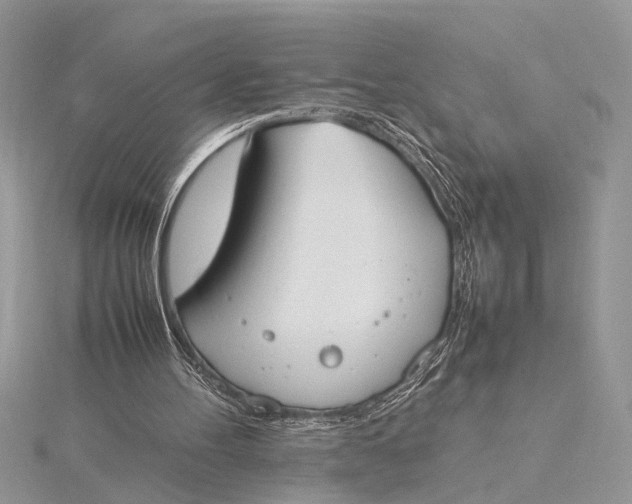 X0000115760100200912041419